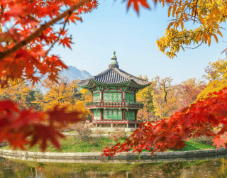 Tour Korea New Year 7D Memorable Year End Ski View Korea +everland Theme Park +free Sight Seeing Kuala Lumpur  By Malaysia Airlines Dep 24,26,28 & 29 Des'24 (wh51/t4)