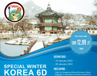 6 Hari Winter Korea 