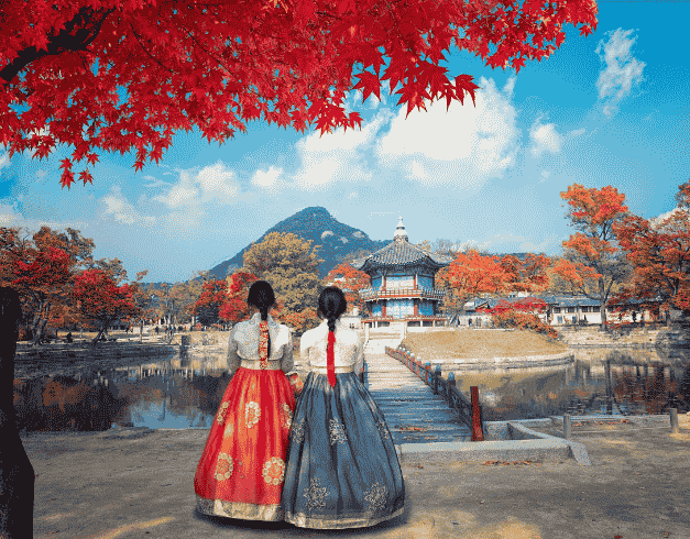 Tour Korea 7D Enjoy Winter Year End Korea + Everland Theme Park & Suwon Starfield Library By Malaysia Airlines Dep 20 & 30 Dec'24 (wh51/t4) 1