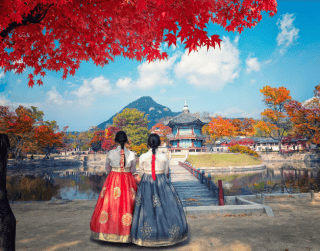 Tour Korea 7D Enjoy Winter Year End Korea + Everland Theme Park & Suwon Starfield Library By Malaysia Airlines Dep 20 & 30 Dec'24 (wh51/t4)