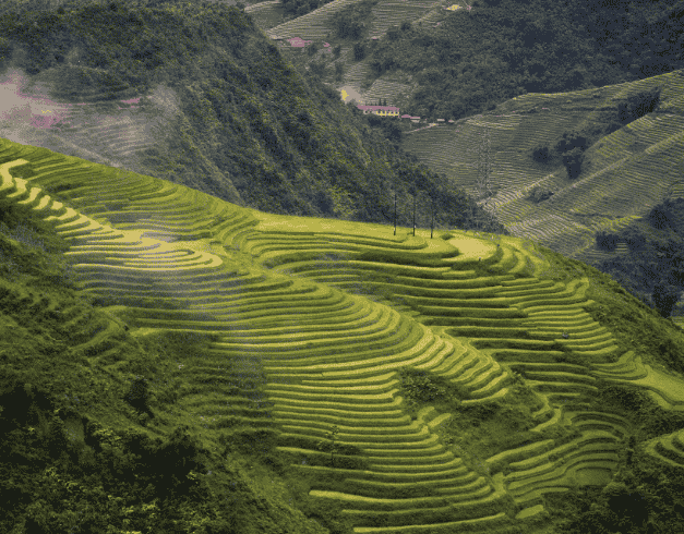 Tour Vietnam Newyear Edition Vietnam Sapa Fansipan + Saigon 6D Dep : 28 Dec '24 (wh05 - T03) 1