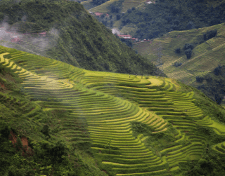 Tour Vietnam Newyear Edition Vietnam Sapa Fansipan + Saigon 6D Dep : 28 Dec '24 (wh05 - T03)