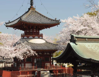 Tour Japan 6D Kanto Tokyo Hakone Kimono