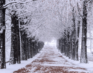 (wh27) 4N6D Joyful Korea In Winter By Tg Dep: 26 – 31 Dec 2019 