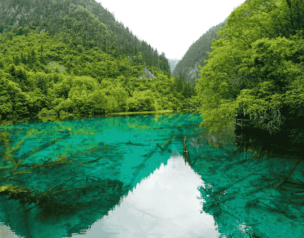 8 Hari Tour Beautiful China : Chengdu, Jiuzhaigou, Chongqing 1