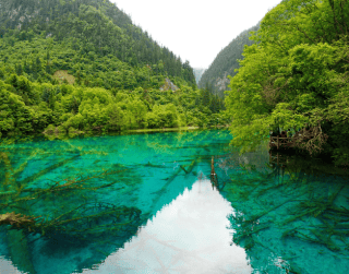 8 Hari Tour Beautiful China : Chengdu, Jiuzhaigou, Chongqing