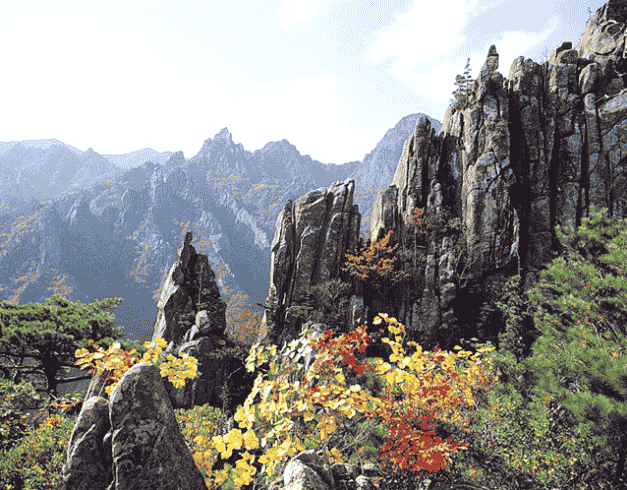 (wh52) 6D Winter Korea Christmas Holiday Dep : 22, 23, 28, 29 Dec'19 By Ga 1