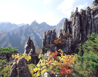 (wh52) 6D Winter Korea Christmas Holiday Dep : 22, 23, 28, 29 Dec'19 By Ga