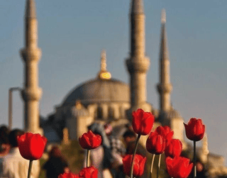 Tour Turki 2026 10D Turki Tulip + One Day Free In Istanbul