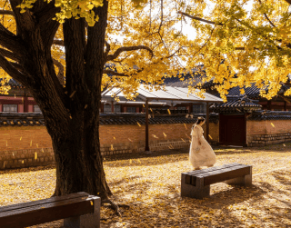 Tour Korea 2025 6 Hari Amazing Sale After Lebaran Korea (nami Island - Seoul) By Malaysia Airlines Dep : 5,7,8,9 Apr 2025 (wh51/t4) 