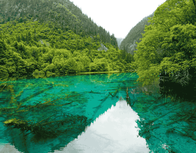 Tour China 2025 8D Fantastic Chongqing - Chengdu - Jiuzhaigou By Air China + Shandong Airlines Dep : 07 Mar, 11 Apr, 09 May, 6 Jun 2025 (wh56 - T05) 1