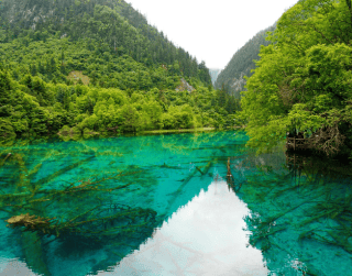 Tour China 2025 8D Fantastic Chongqing - Chengdu - Jiuzhaigou By Air China + Shandong Airlines Dep : 07 Mar, 11 Apr, 09 May, 6 Jun 2025 (wh56 - T05)