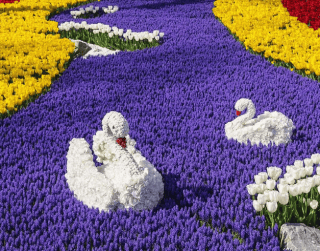 Tour Turkey 10D 2026 Special Tulip + Free day