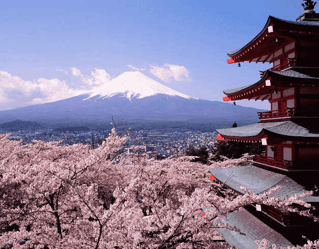(WH05) 5D TOUR TOKYO + KIMONO (FEB-APR'20) BY GA 1