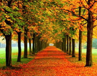 7D Halal Tour Korea (ansan –nami Island– Seoul) 11 Mei & 9 Jun'23 By Singapore Airlines (wh51)