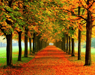 8D6N Wonderful New Year Korea + Everland (nami Island– Mt Sorak - Seoul) Dep : 22DEC & 29DEC (wh51)