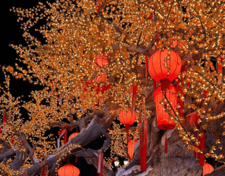 Tour China 10D 2026 Beijing Shanghai Double Theme Park Limited Seat