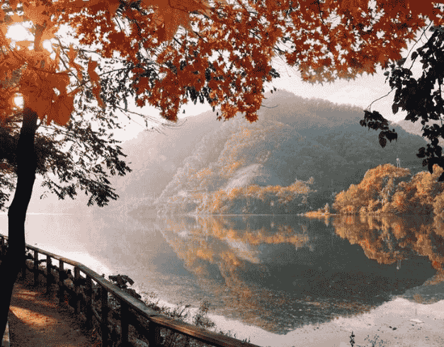 Tour Korea 2025 6D Halal Tour Korea 1