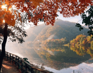 Tour Korea 2025 6D Halal Tour Korea