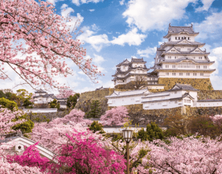 SERIES GROUP 9HARI GOLDEN ROUTE JAPAN  DEP: 29 OCT–05 NOV'20 By PR/NH