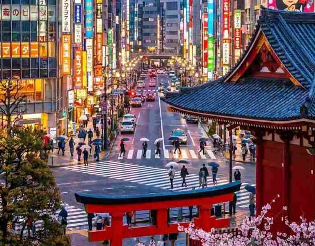 Tour Japan 2026 6D Tokyo + Fuji 6 Can Go 1