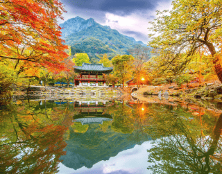 6D Peak Autumn Sale Korea  (nami Island - Seoul) By Malaysia Airlines (premium Airlines) Dep : 24,25,26,28 Oct 2023 (wh51)