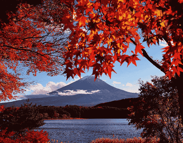 6D Japan Golden Route Dep Dec - Mar'2020 (Tokyo-Kawaguchi-Mt.Fuji-Osaka-Kyoto-Toyohashi) By GA 1