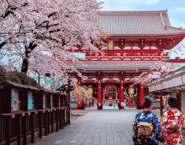 (tp) 8D6N Golden Route Sakura Highlight : Tokyo, Sakura Hanami, Osaka Castle, Mt. Fuji, Kyoto, Nara, Universal Studio Japan Dep : 13 - 20 Mar 2023 By Cathay Pacific Or Philippine Airlines  1