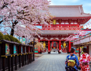 (tp) 8D6N Golden Route Sakura Highlight : Tokyo, Sakura Hanami, Osaka Castle, Mt. Fuji, Kyoto, Nara, Universal Studio Japan Dep : 13 - 20 Mar 2023 By Cathay Pacific Or Philippine Airlines 