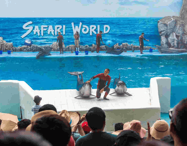 Tour Bangkok 2023 4D3N BANGKOK SAFARI + MARINE PARK   Periode Keberangkatan : Now – Oct 2024   Free SAFARI WORLD + MARINE PARK , ICON SIAM ,ASIATIQUE NIGHT MARKET,WAT ARUN (WH60) 1