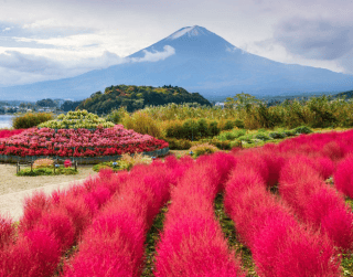 Tour Japan 2026 7D Disneyland + Tokyo Oishi Lebaran