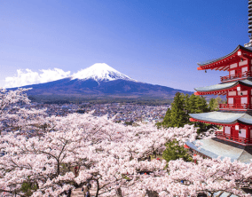 7D5N Hokkaido Ice Breaking Cruise By Ana Airlines (WH08)