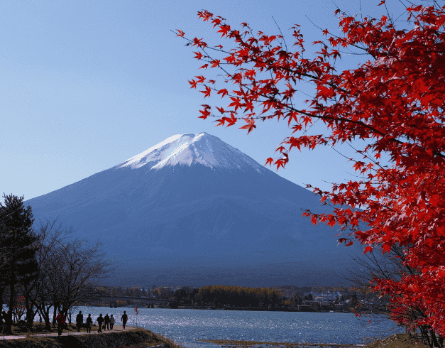 One day Tour Mt. Fuji & Kawaguchiko Tour By Limon Bus 1