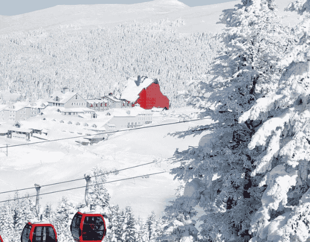 Tour Turkey 2026 10D With One Day Free Program 1