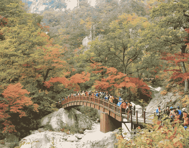 6D After New Year Winter Korea With Han River Cruise  (nami Island– Mt Sorak - Seoul) By Malaysia Airlines *premium Airlines* Dep 01 Jan'24 1