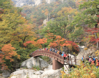 6D After New Year Winter Korea With Han River Cruise  (nami Island– Mt Sorak - Seoul) By Malaysia Airlines *premium Airlines* Dep 01 Jan'24