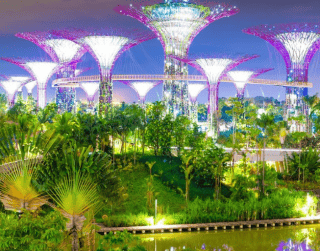 (WH53) 3D2N Land Tour Singapore Free & Easy Periode Jul - Dec'19 