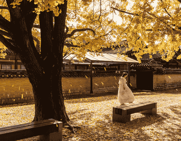 Tour Korea 2025 6 Hari Amazing Sale After Lebaran Korea (nami Island - Seoul) By Malaysia Airlines Dep : 5,7,8,9 Apr 2025 (wh51/t4)  2