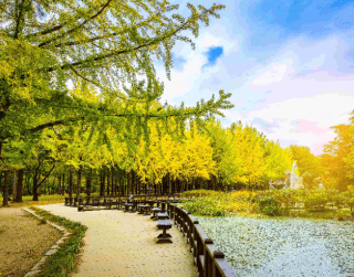 Tour Korea Lebaran 2024 9D Exciting Lebaran Busan Jeonju Korea + Everland+haeundae Capsule By Garuda Indonesia Dep 10 Apr'24 (wh51)