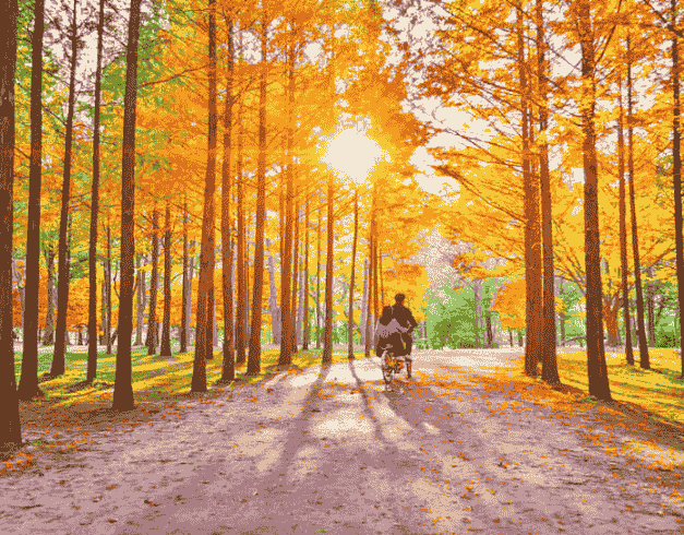 7D5N Supersale Korea Autumn Sonata + Mt Sorak 7D 19OCT By Sq (wh5) 1