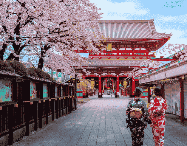 6D/3N Supersale of Tokyo + Brunei  by Royal Brunei Airlines 13jul 2023 1