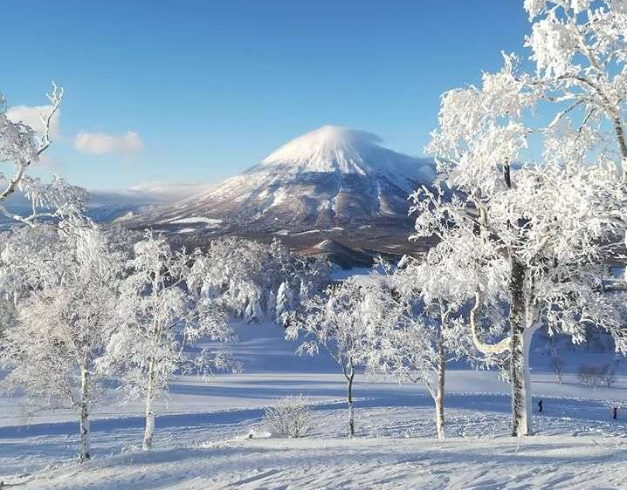 Tour Japan 8D Best Of Hokkaido + Sapporo 1