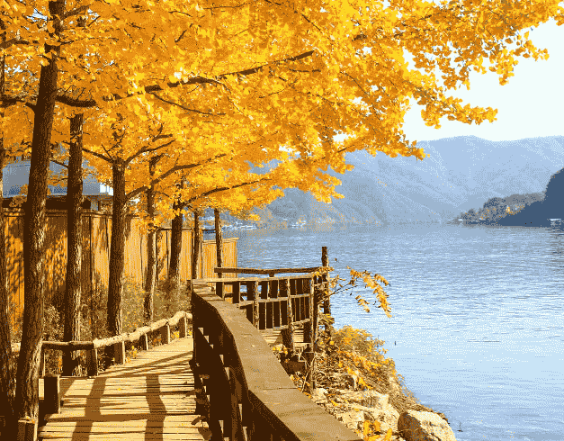 5DAYS Consortium (wh01) Best Deal Korea + Nami Island By :  Singapore Airline  Dep : 18 Feb 2023 1
