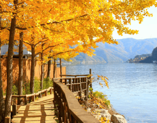 5DAYS Consortium (wh01) Best Deal Korea + Nami Island By :  Singapore Airline  Dep : 18 Feb 2023