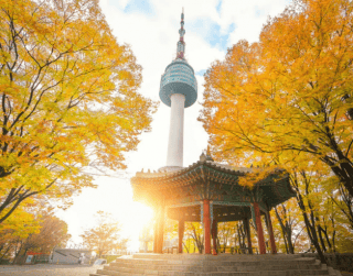 (WH05) 5D KOREA FUN SONATA Dep: 20 Nov by GA