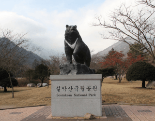 (wh05) Edisi Libur Kejepit!! 5D Tour Korea Spring Sonata + Mt Sorak (21MAR'20)