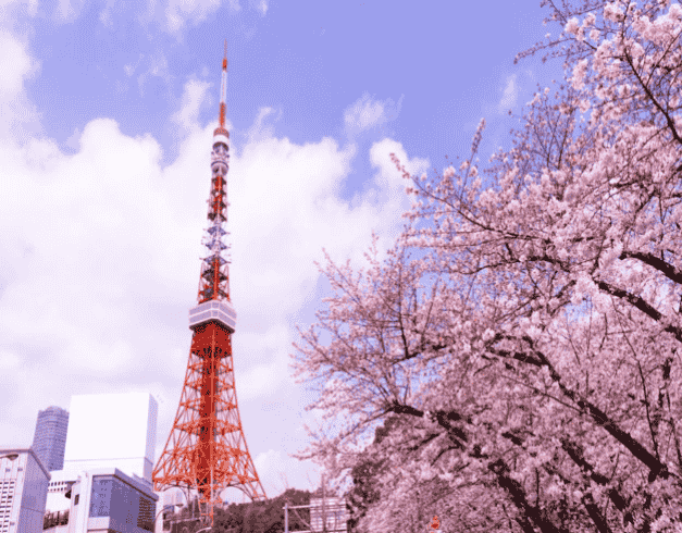 Tour Japan Hokkaido 8D Winter Experience 1