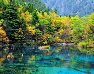 Tour Ke China 8D Jiuzhaigou+ Leshan &emeishan On 20 Nov & 4 Dec 2023 By Batik (wh51)