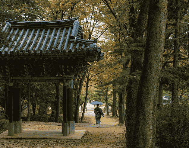 Tour Korea 5D Crazy Sale Korea 2025 On Feb - Sep 2025 By Mh Or Batik (wh51) 1