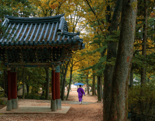 Tour Korea 5D Crazy Sale Korea 2025 On Feb - Sep 2025 By Mh Or Batik (wh51)